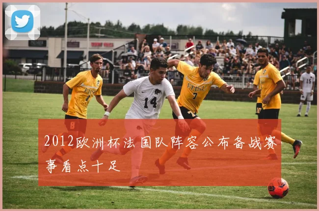 2012欧洲杯法国队阵容公布备战赛事看点十足
