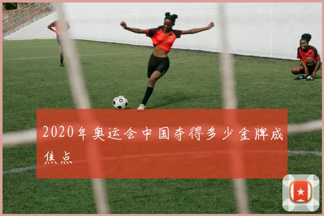 2020年奥运会中国夺得多少金牌成焦点