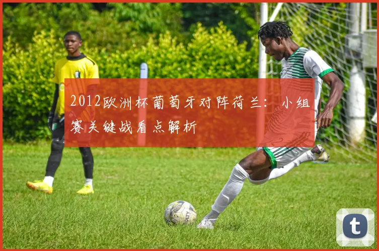 2012欧洲杯葡萄牙对阵荷兰：小组赛关键战看点解析