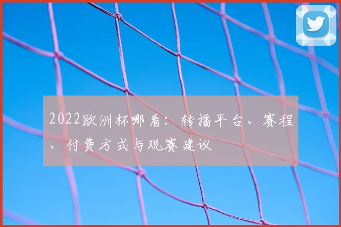 2022欧洲杯哪看：转播平台、赛程、付费方式与观赛建议