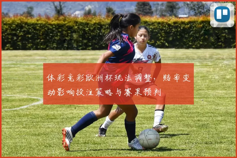 体彩竞彩欧洲杯玩法调整，赔率变动影响投注策略与赛果预判